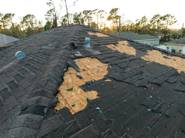 Best Skylight Installation and Repair  in Fountain Inn, SC