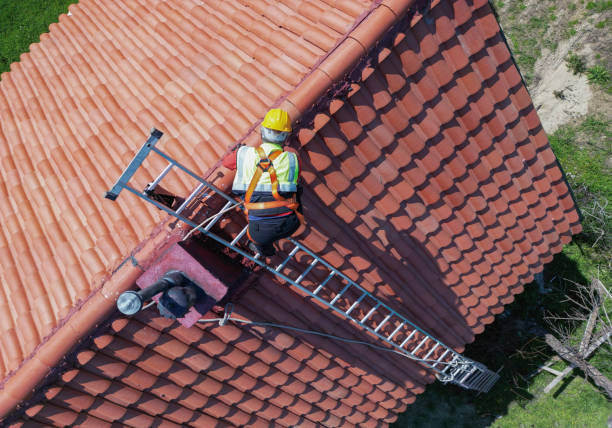 Best Roof Moss and Algae Removal  in Fountain Inn, SC